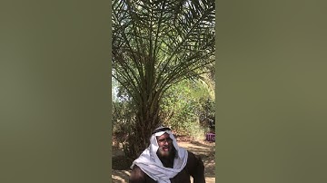 دحيم الحماد 1443هـ تلاوة من سورة الذاريات