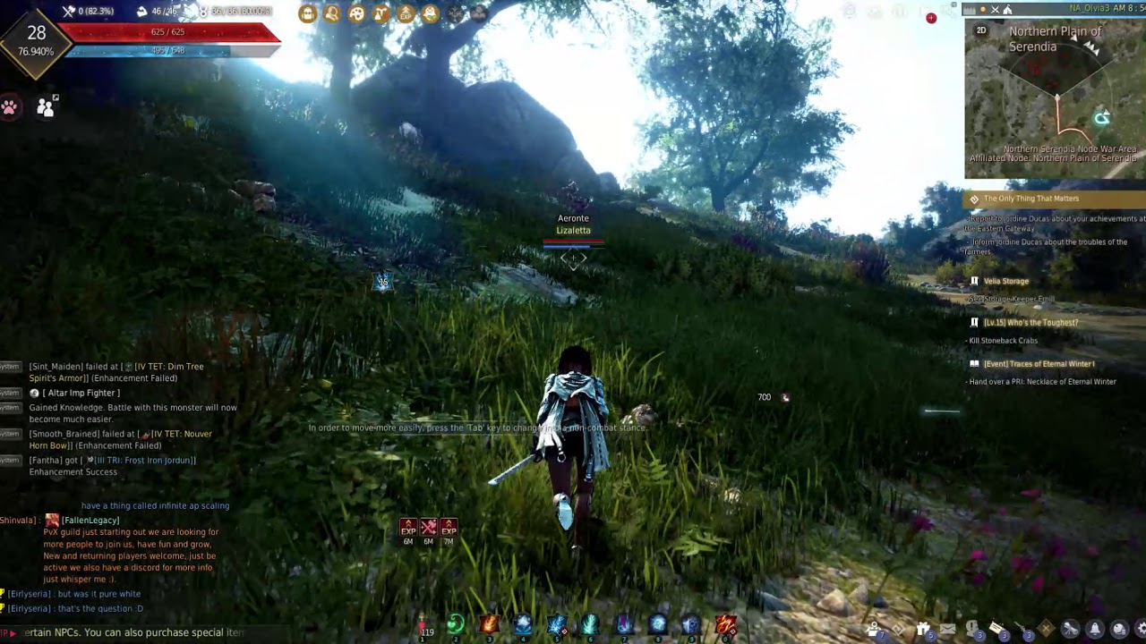 Black Desert Online High Level Witch Gameplay 