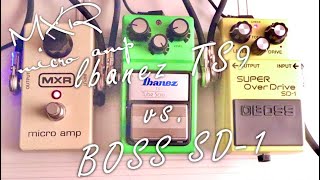 A thorough comparison of classic pedals! BOSS SD-1 vs. lbanez TS9