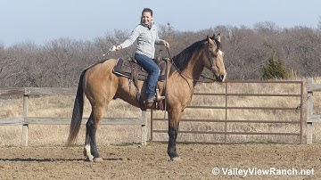 BH Duster Cat - mounted shooting and swingin