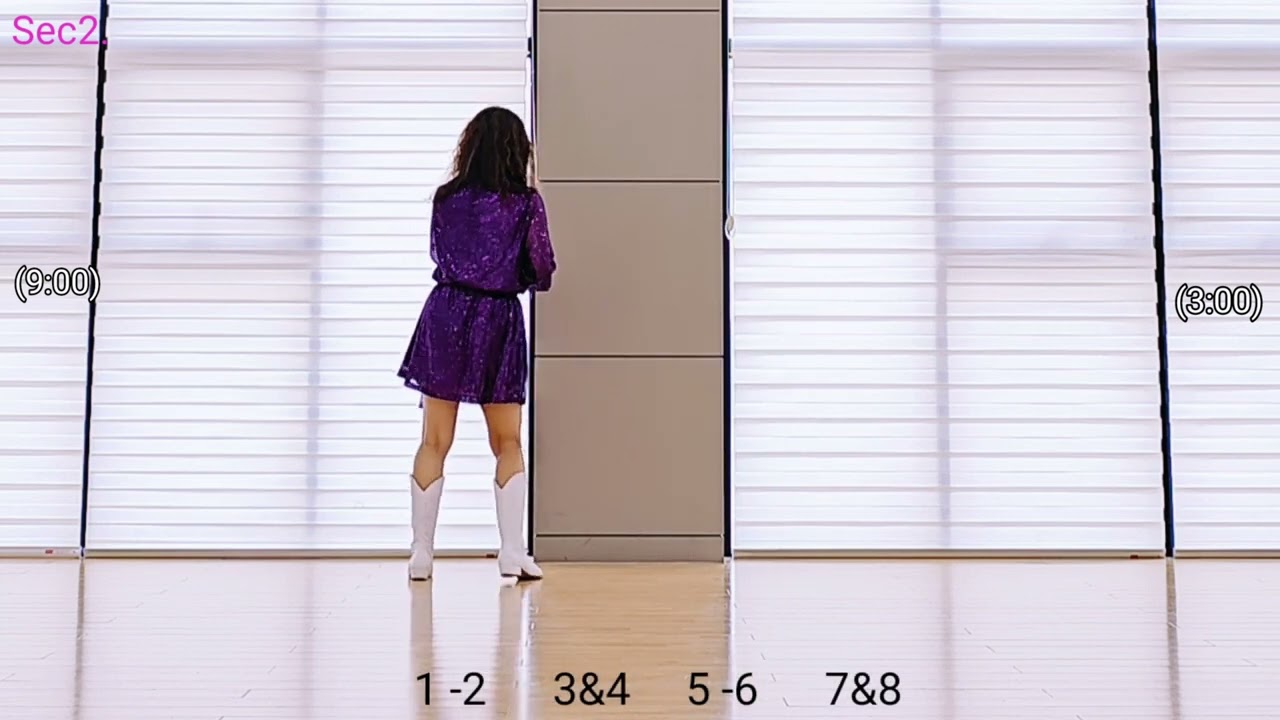 Dreamers in a Dreamer's World Line Dance 💕TUTORIAL스텝설명 초급라인댄스