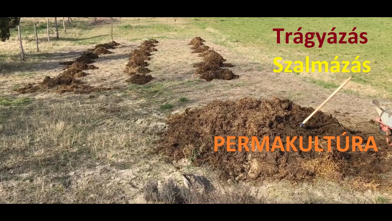 permakultúra