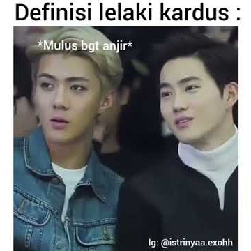 Story wa kpop exo