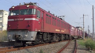 【JR貨物】1063レ ED76-1019