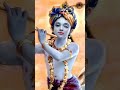 Radhe krishna ssl 