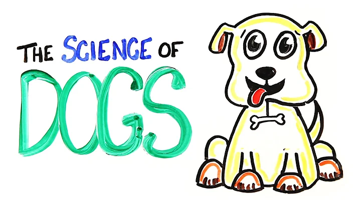 The Science of DOGS - DayDayNews