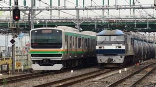 E231系国府津車K-11編成とEF210 116[新]牽引の貨物列車　大宮