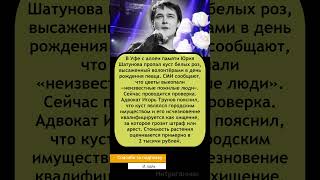 🌹 «Украли белые розы»: с аллеи памяти #Шатунов исчез куст цветов