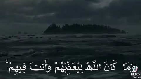 وما كان الله معذبهم وهم يستغفرون القارئ علي جابر