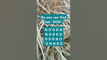 Observation Visual Test: 5 Seconds ForYou To Spot DON. Try Your Skills! #search #puzzle #shorts