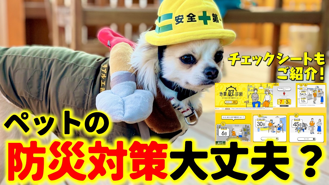 ☆受付中！☆犬ちゃん Preparation Is Key] Save Lives in an Emergency! Disaster