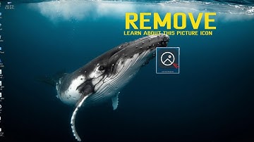 Remove Learn About This Picture Icon In Windows 10 11  Spotlight Desktop Background