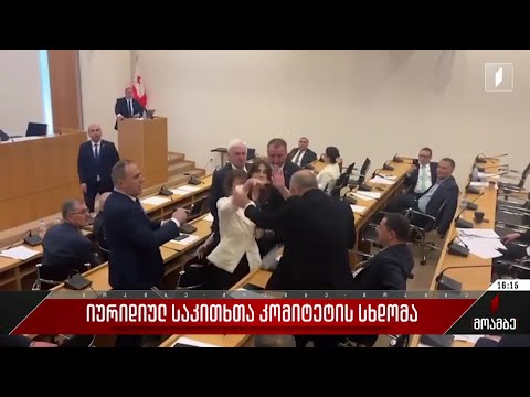 იურიდიულ საკითხთა კომიტეტის სხდომა