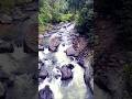 The River Natural #nature