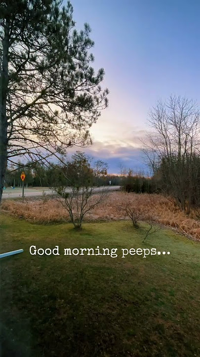 Sunrise 4-24-23 #pinkfloyd #tristanfloblack #guitar #sunrises