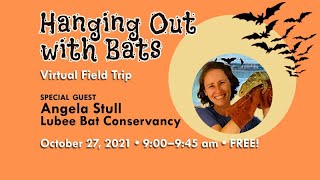 MRC's Virtual Field Trip - Hanging Out with Bats