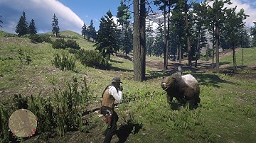 RDR2 - Every RDR2 player has to repeat this