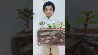 rabbits burrow - school project -