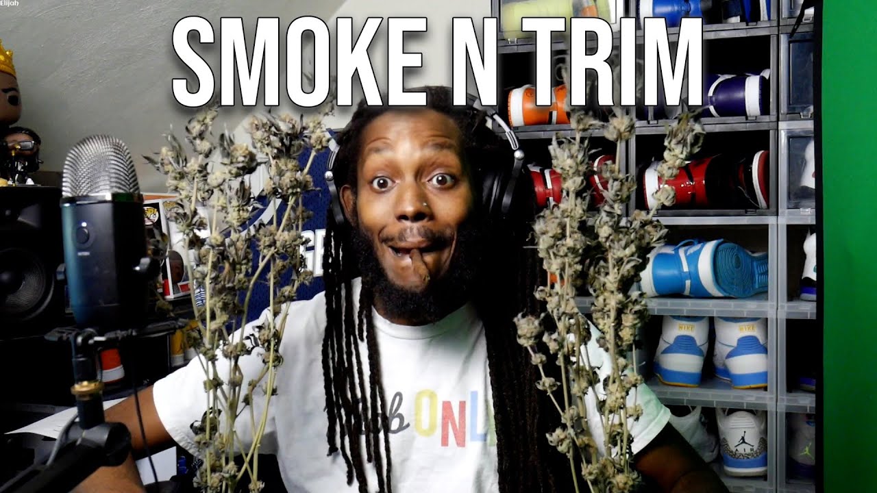 SMOKE N TRIM - TASTEBUDZ BACK 2 THE FUTURE - 1k Stream