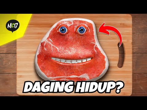 Daging Daging Daging Daging