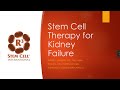 Stem cell therapy for kidney failure in south africa