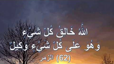تلاوه عراقيه جميله من سورة الزمر ( الله خالق كل شيء) بصوت عمر الدرويز
