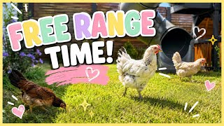 Free range time for these girls