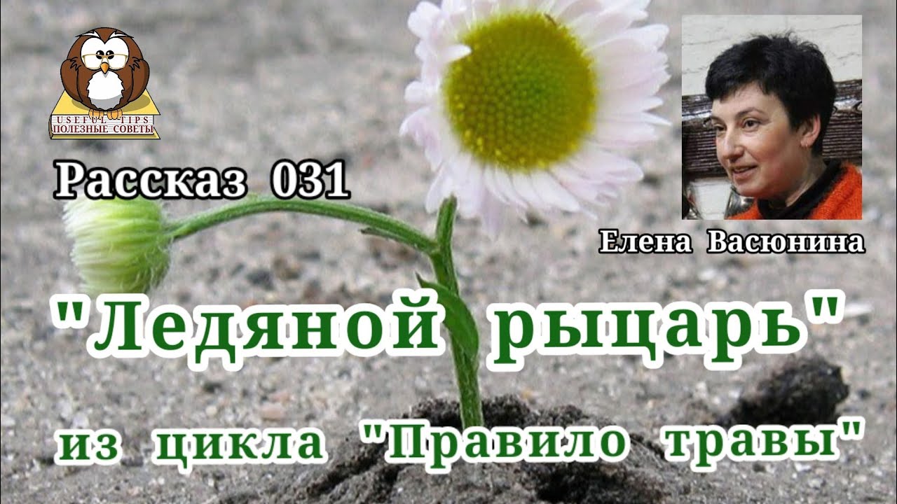 Полезные советы. Елена Васюнина. "Ледяной рыцарь" из цикла "Правило ...
