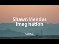 Shawn Mendes - Imagination
