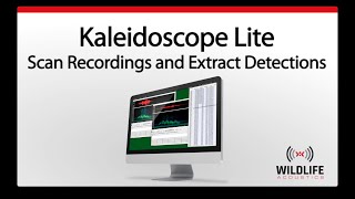 Kaleidoscope Lite: Scan Recordings and Extract Detections | Identify and Analyze Animal Sounds