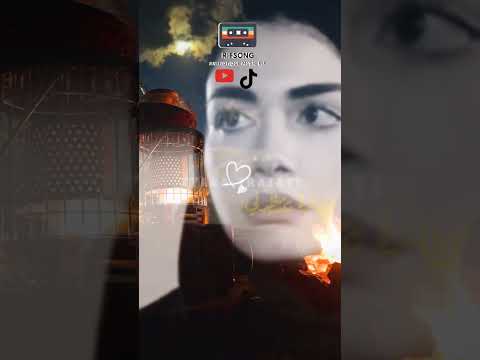           اكسبلور