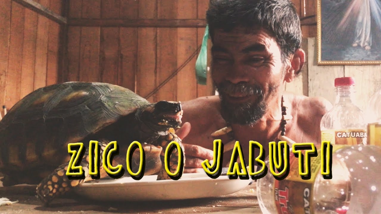 ZICO O JABUTI
