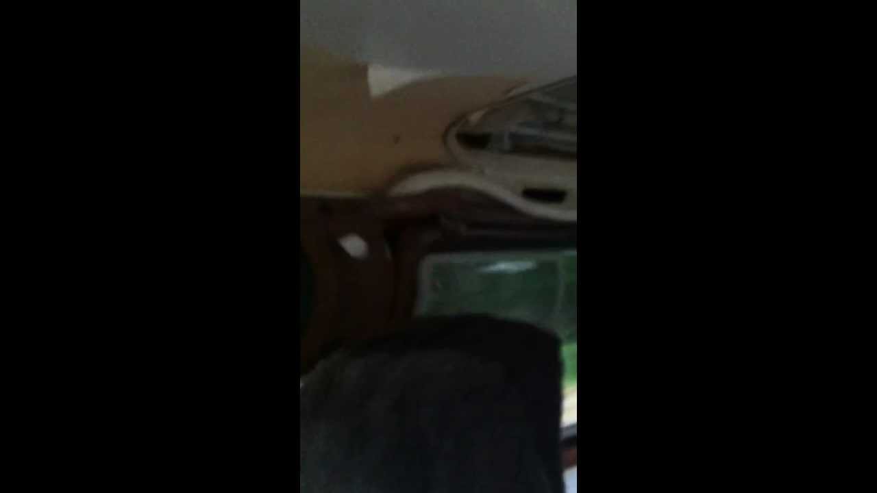 Rain in Forest Knolls in July?!