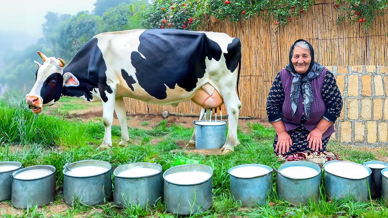 Приготовление Традиционного Домашнего Масла из Свежего Коровьего Молока в Деревне!