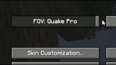 When you set your Mincraft FOV to Quake Pro