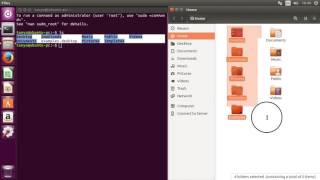 Shell - Directory Navigation