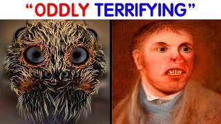 “Oddly Terrifying” Posts That Are Not For The Fainthearted