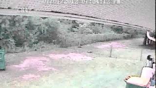Bear vs. Garbage Container