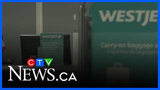 Aftermath of Lethbridge-to-Calgary flight discontinuation