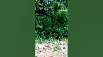 MTO LUPA Matundasi 3 