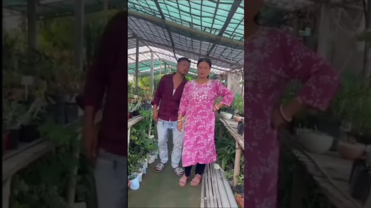 Bodo Reels Videos2025|| Bodo  Facebook Reels Videos|| @bscreation