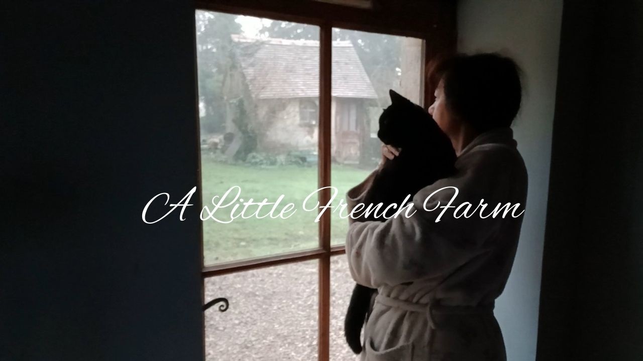 Over 50 The Invisibility Trick | When the World Stops Seeing You