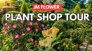 🌿 A Refreshing Morning at a Plant Shop | House Plants Shop Tour | Lush Green Beauties 💚🌱 🌿 A Refreshing Morning at a Plant Shop | House Plants Shop Tour | Lush Green Beauties 💚🌱