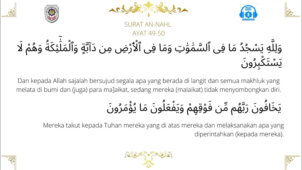 Yalangoch qizlarning katta formatli fotosuratlari YouTube porno: qoshimcha bokira qizlar