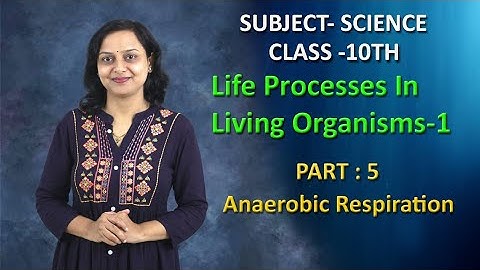 Life Processes In Living Organisms  | Part 5 | Class 10 | Maharashtra Board