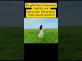 Es gibt kein besseres Gefühl, als wenn der Wind eine freie Seele berührt #alltagsdeutsch #wortschatz