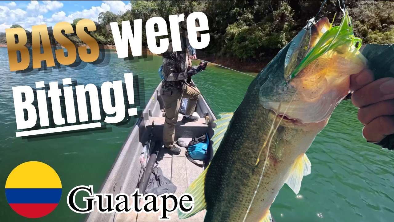 A Fun Day Bass Fishing in Guatape