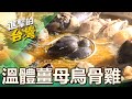 【新竹必吃】全台首創「藥膳薑母雞」冬日進補首選！老薑燉「溫體烏骨雞」收服挑剔竹科人 第506集《進擊的台灣》part2｜陳怡廷 (藥膳薑母雞)