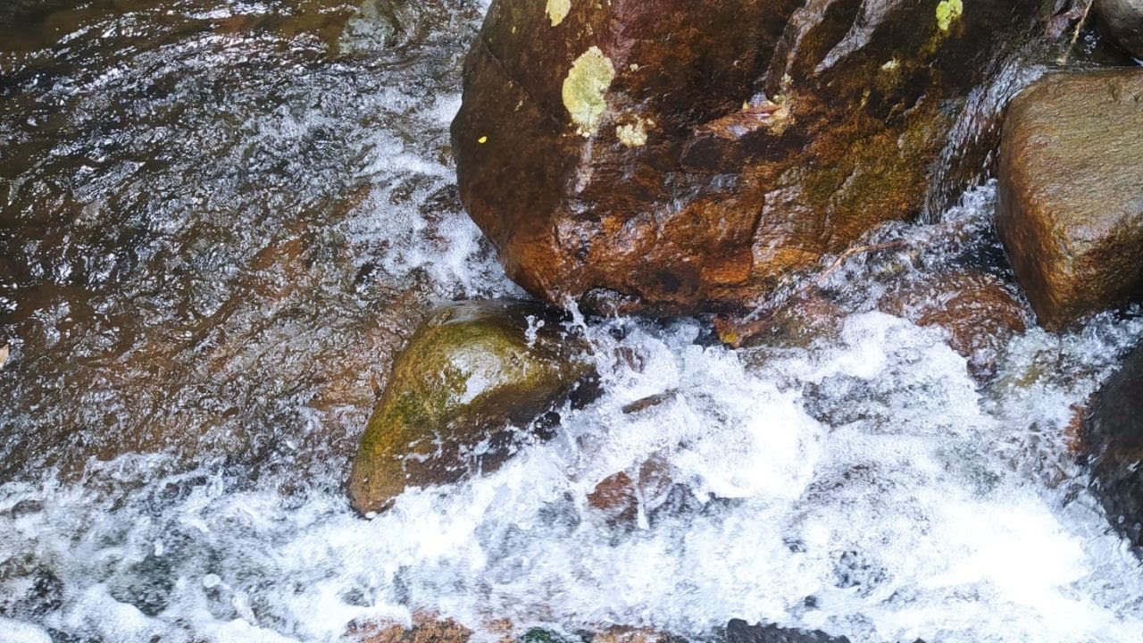 129  GEMF  - A Ilusão do Ego - Paul Brunton