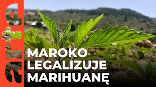 Maroko: król legalizuje marihuanę | ARTE.tv Dokumenty [CAŁY FILM LEKTOR PL]